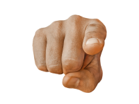 1000000425.png